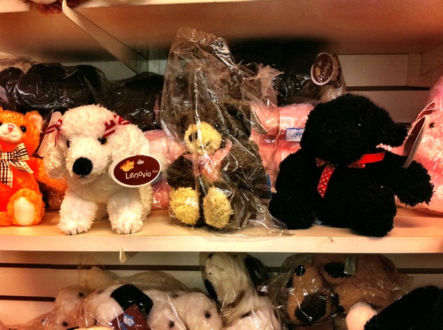 Poodle, Brn , Black Teddy