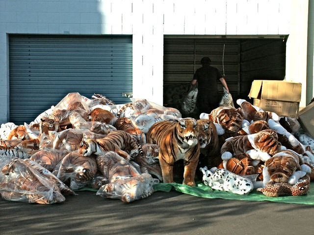 Public storage animals